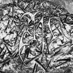 AN : Pure Northern Hell